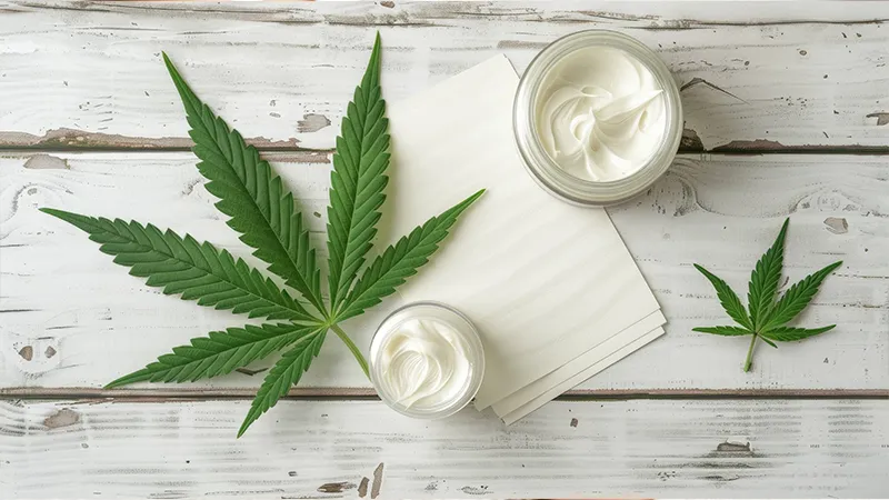 DIY CBD Pain Cream Recipe: Natural Relief for Sore Muscles and Joints CBD cream and some cannabis leaves.